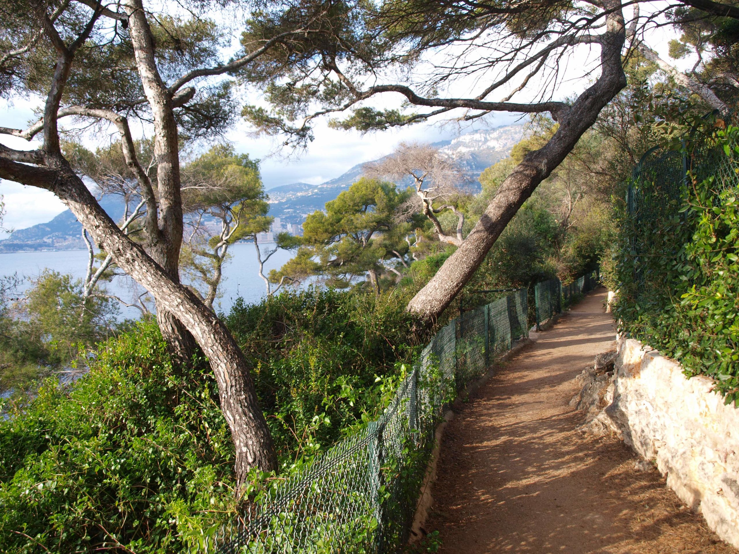 Le Sentier du Littoral – Romantic Walk Along the Coast Coastal trail with sea views and coves on Cap Ferrat