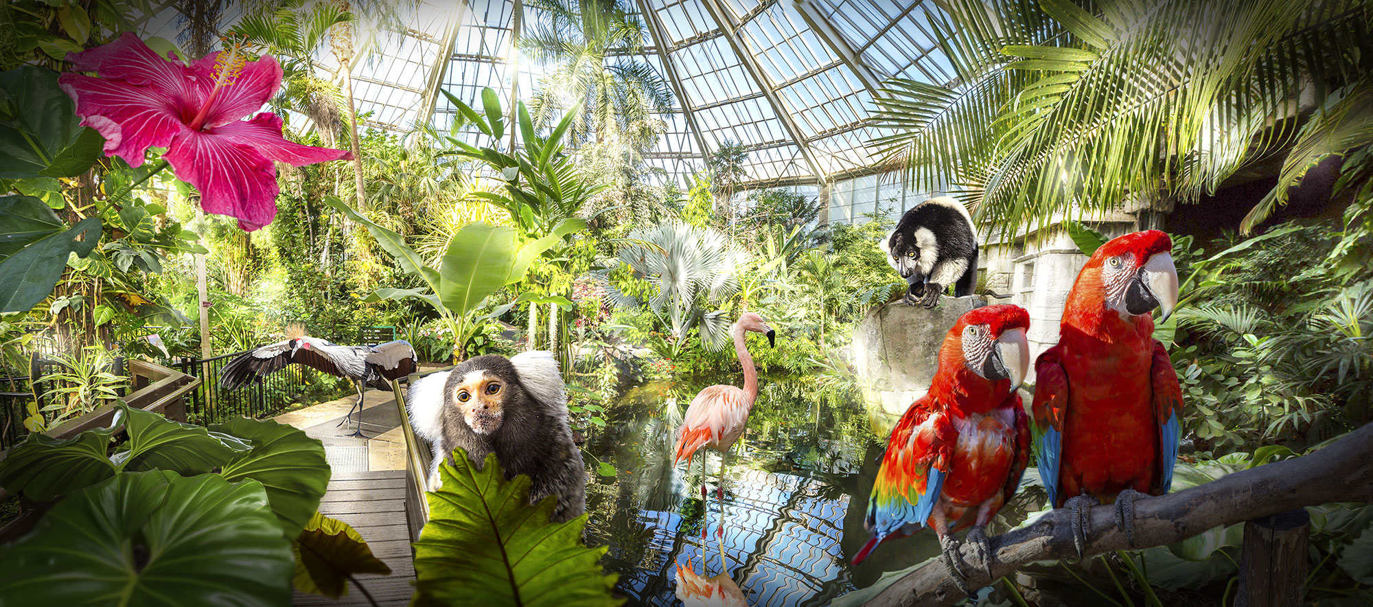 Parc Phoenix – Kid-Friendly Botanical Park in Nice Tropical greenhouse with flamingos and monkeys in Parc Phoenix