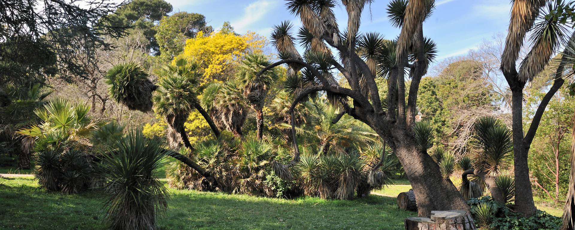 Quiet botanical research garden great for toddlers and strollers Peaceful paths and exotic plants at Villa Thuret Gardens in Antibes