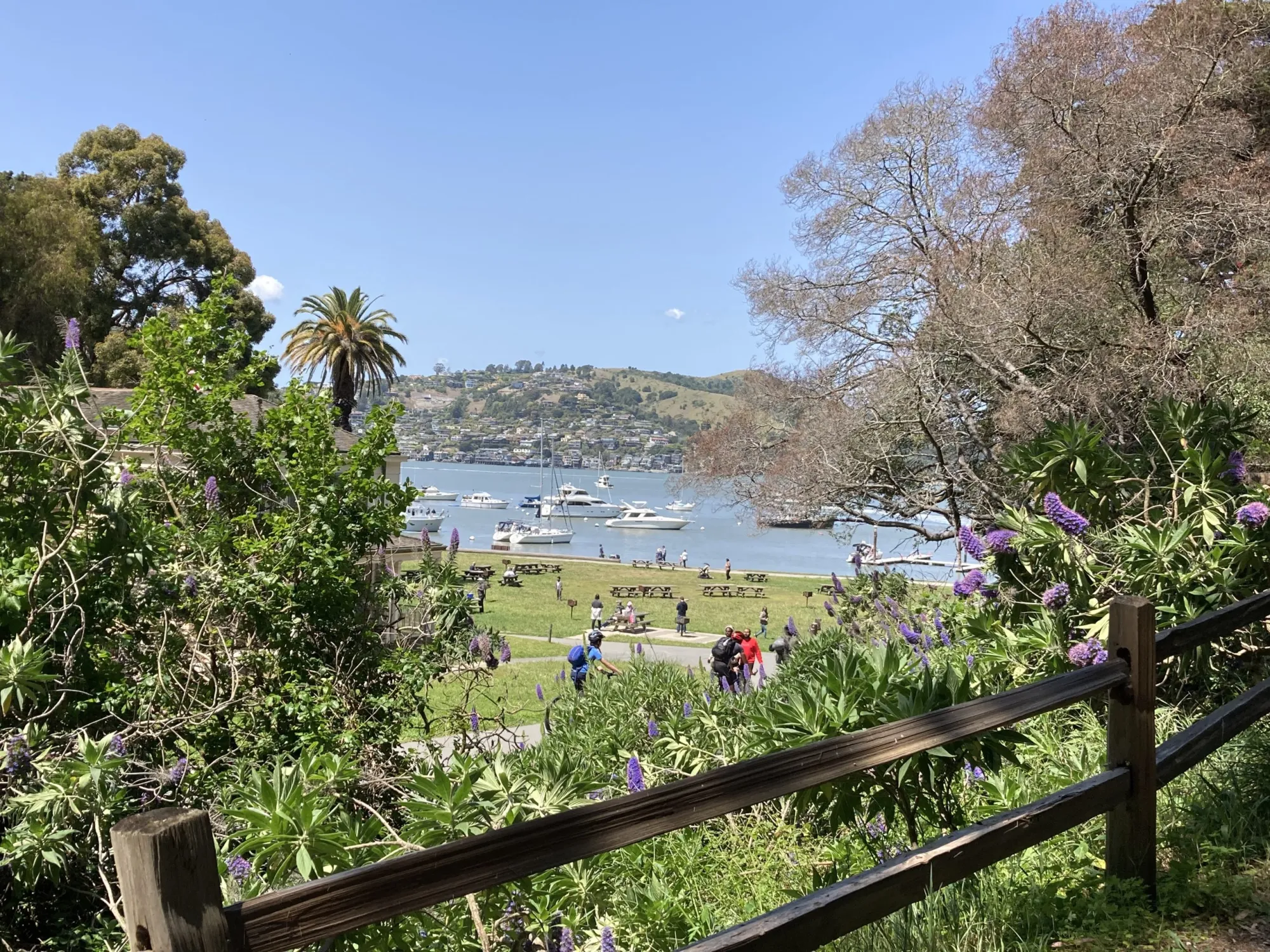 Family picnic overlooking the Bay of Angels with a simple spread of bread, cheese, and fruit